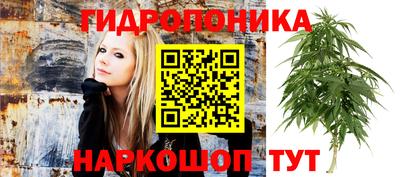 mdma Тара