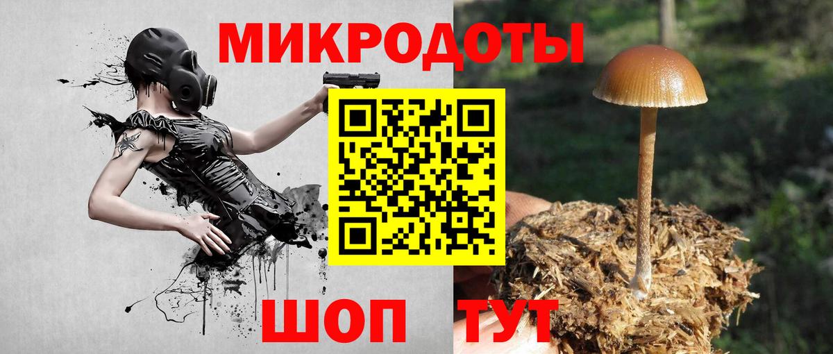 Галлюциногенные грибы Magic Shrooms Бердск