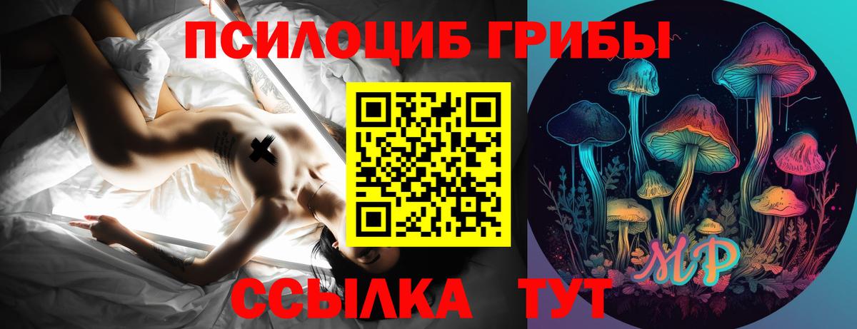 Псилоцибиновые грибы мухоморы  Галлюциногенные грибы прущие грибы  Бердск  купить наркотик  Вход с VPN 